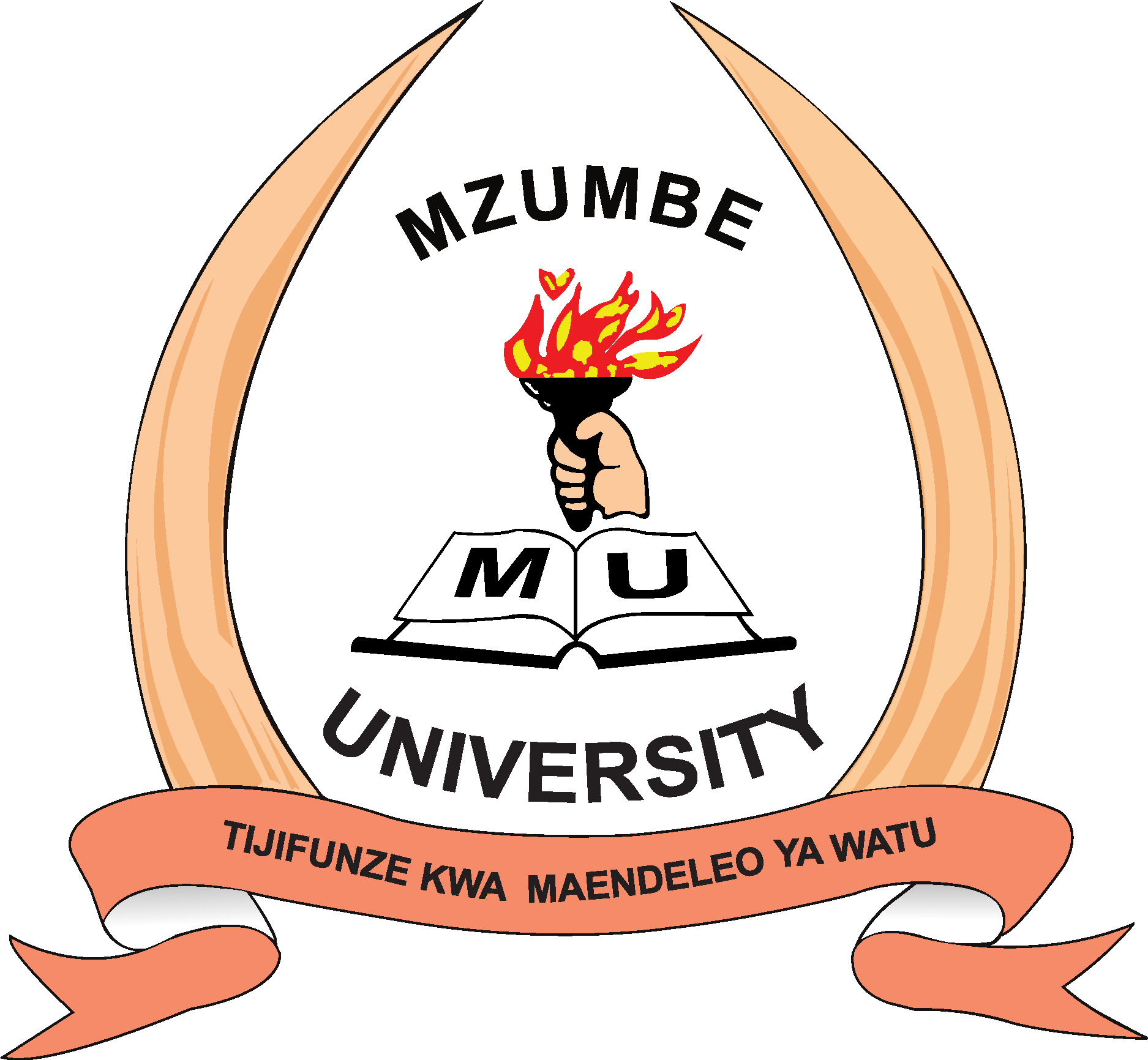 Mzumbe University